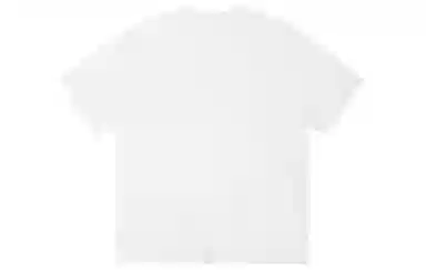 ICONS Lab ICS T
