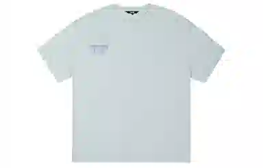 ICONS Lab ICS T
