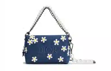 DIOR 811 15*9*11cm