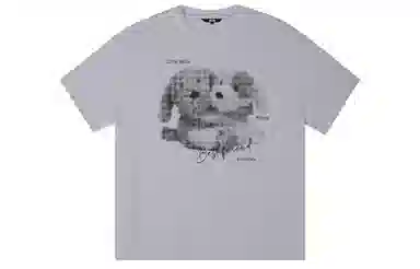 ICONS Lab ICS T