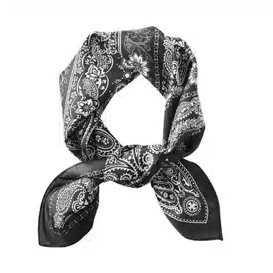 俞兆林 复古时髦腰果百搭小方巾系脖围巾发带包头绑发绑包小领巾腰带配饰高级感 丝巾 女款