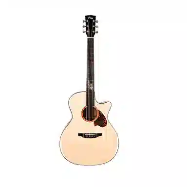 TYMA () TG-5Pro() 41GA