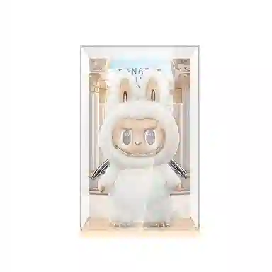 LIGHT YOUR BRICKS Display Box