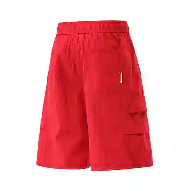 LISENPOK