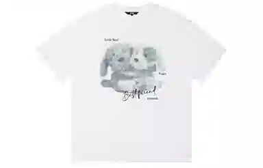 ICONS Lab ICS T