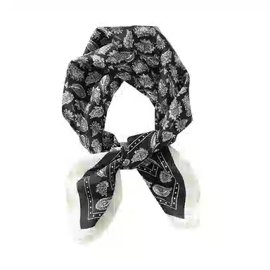 俞兆林 复古时髦腰果百搭小方巾系脖围巾发带包头绑发绑包小领巾腰带配饰高级感 丝巾 女款