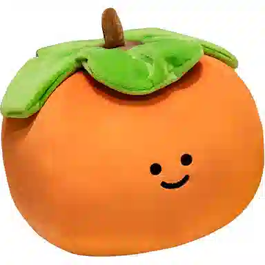 16cm43cm