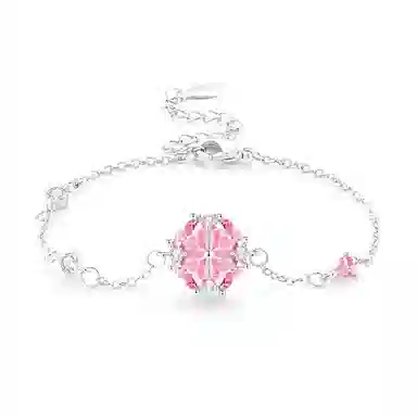 CAREBEARS S925