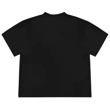 Tingqu T