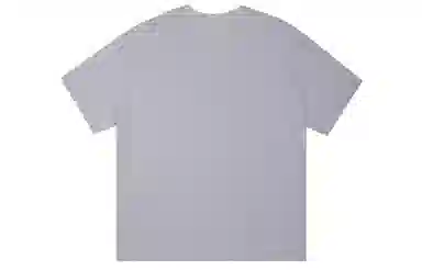 ICONS Lab ICS T