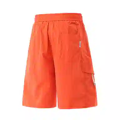 LISENPOK
