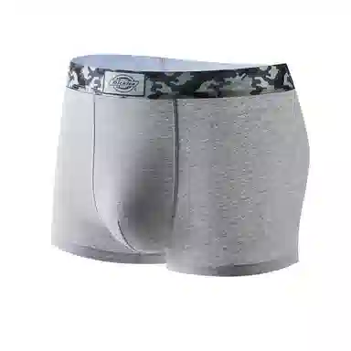 Dickies