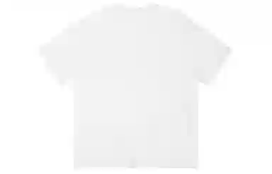 ICONS Lab ICS T