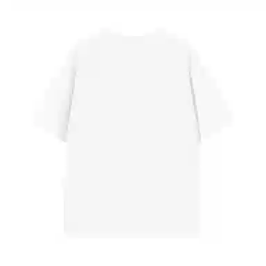 PVPVPV T