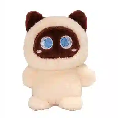 20cm