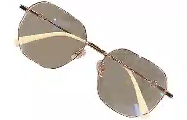 优幽兰 氛围感小众设计感高级感斯文显脸小显白简约 金属 不规则形 太阳眼镜 女款