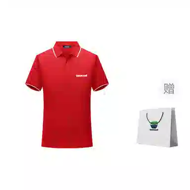 TEXWOOD POLOPolo