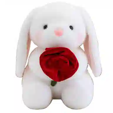 25cm35cm