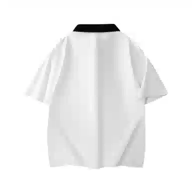 PAUL COSTELLOE LogoPolo