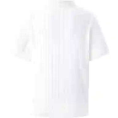 SEE ALSO Polo