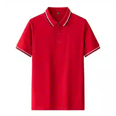 PIERRE CARDIN Polo