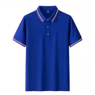 PIERRE CARDIN Polo