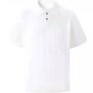 SEE ALSO Polo