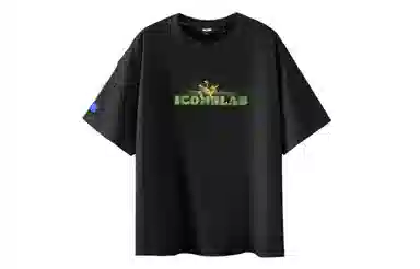 ICONS Lab icons T