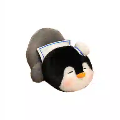 25cm35cm