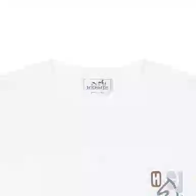 HERMES T