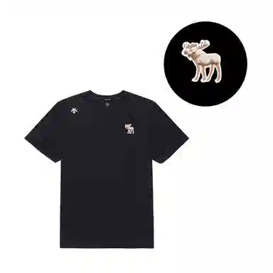 DESCENTE TOUGH LogoT