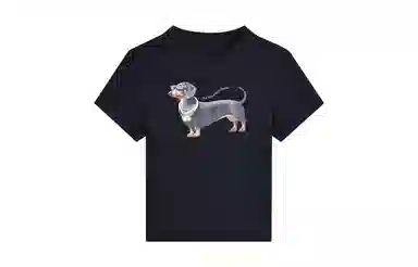MANYSTON T