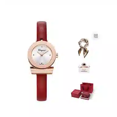 FERRAGAMO F43020017