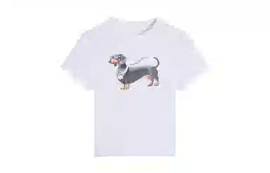 MANYSTON T