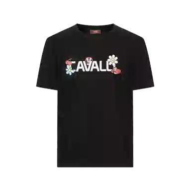 Cavalli Class T