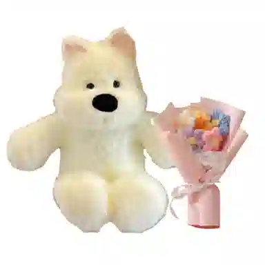 28cm