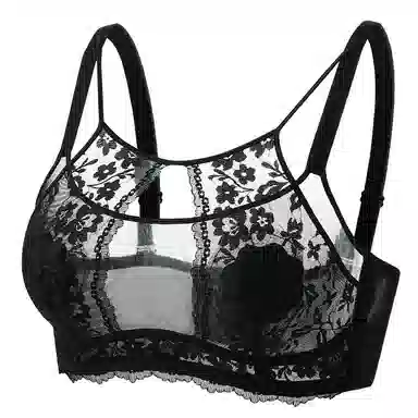 二三二三 透气吸汗聚拢有型防下垂亲肤柔软抑菌舒适侧收副乳可调节肩带内衣性感蕾丝法式慵懒简约时尚百搭文胸 女款