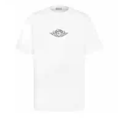 DIOR x jordan T