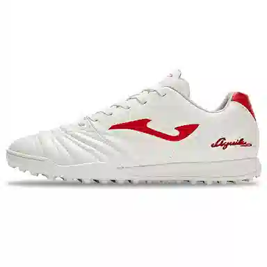JOMA aguila