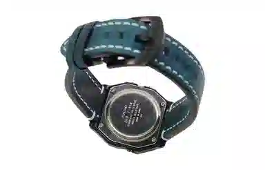 CASIO F-91WS-2