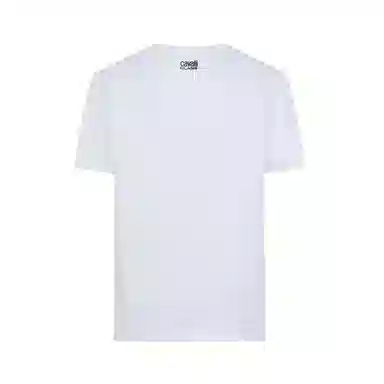 Cavalli Class T