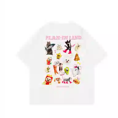 PLAN IN T