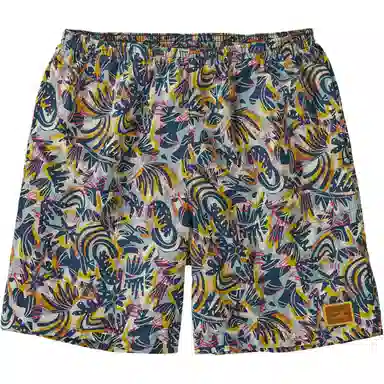 patagonia Baggies