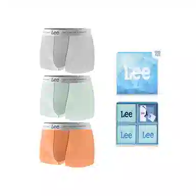 Lee SS25 INDIGO 10A 3