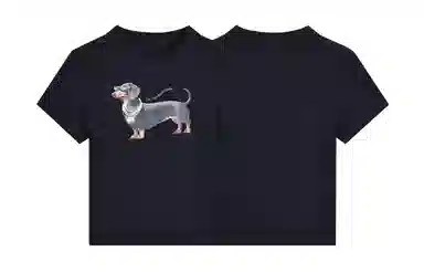 MANYSTON T