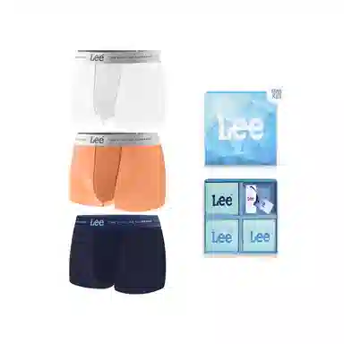 Lee SS25 INDIGO 10A 3