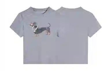 MANYSTON T