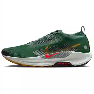Nike Pegasus Trail 5 Gore-Tex