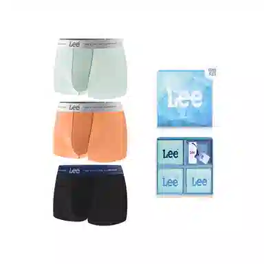 Lee SS25 INDIGO 10A 3