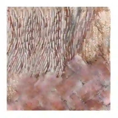 浙锦 意大利设计式方巾防晒 丝巾 女款